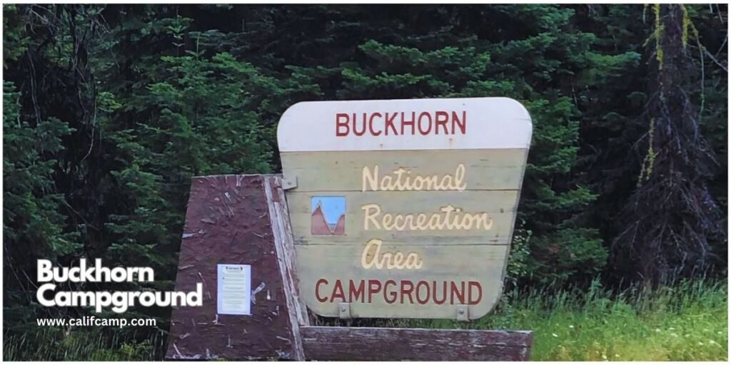 Buckhorn Campground in big sur best campground near los angeles