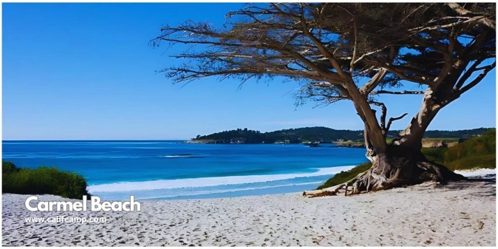 Carmel beach in califcamp