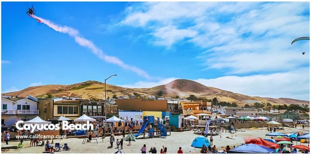 Cayucos State Beach in california