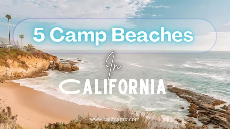 Must visit 5 Camp Beach in California 2024