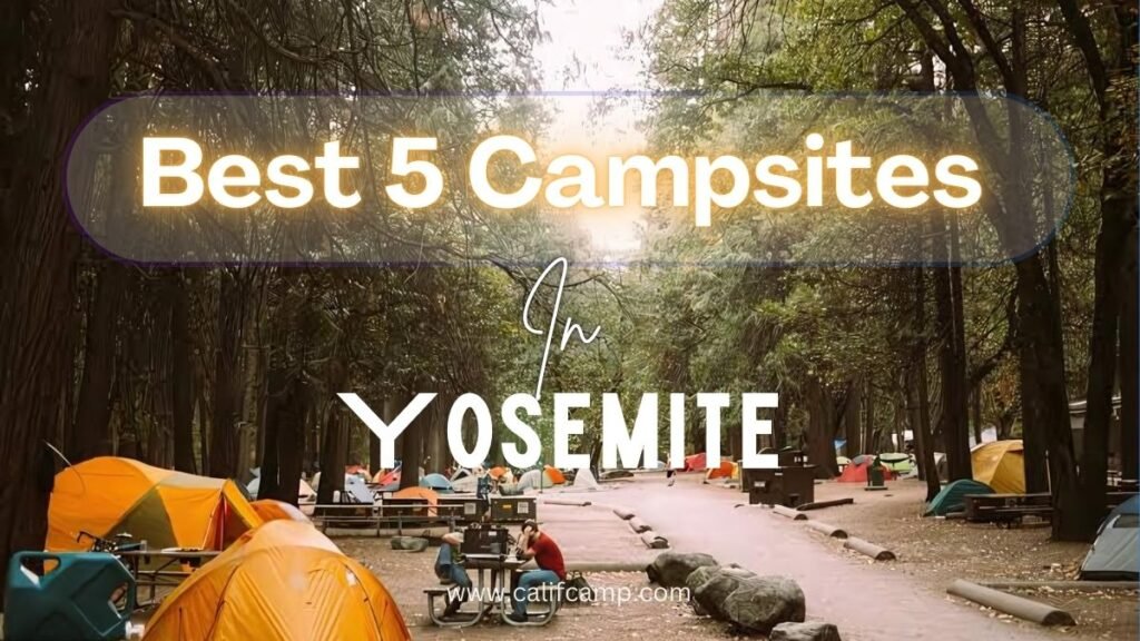 Best 5 Campsites in Yosemite national park 2024