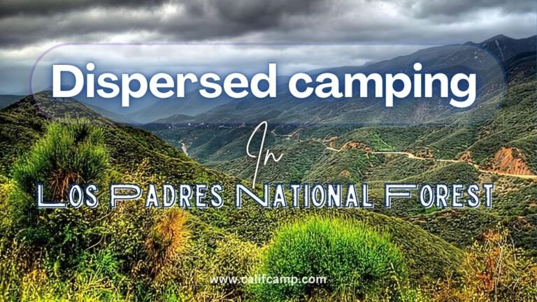 Dispersed camping in los padres national forest