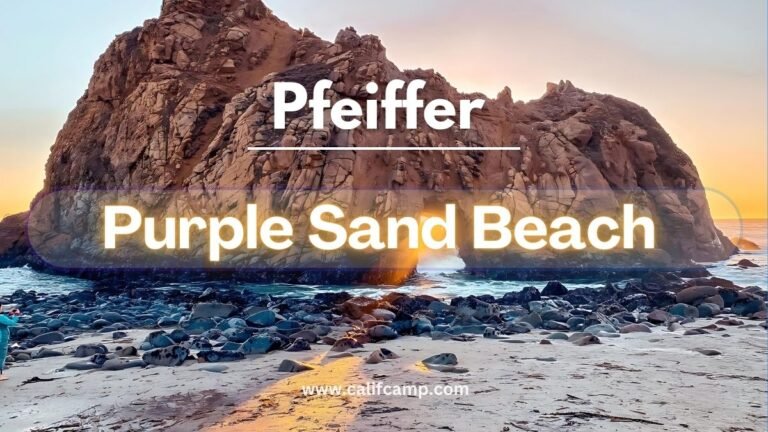 Pfeiffer Beach Purple Sand