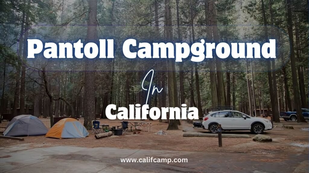 Pantoll Campground in California