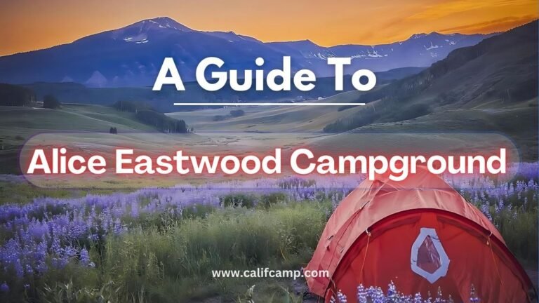 Alice Eastwood Group Campground in California