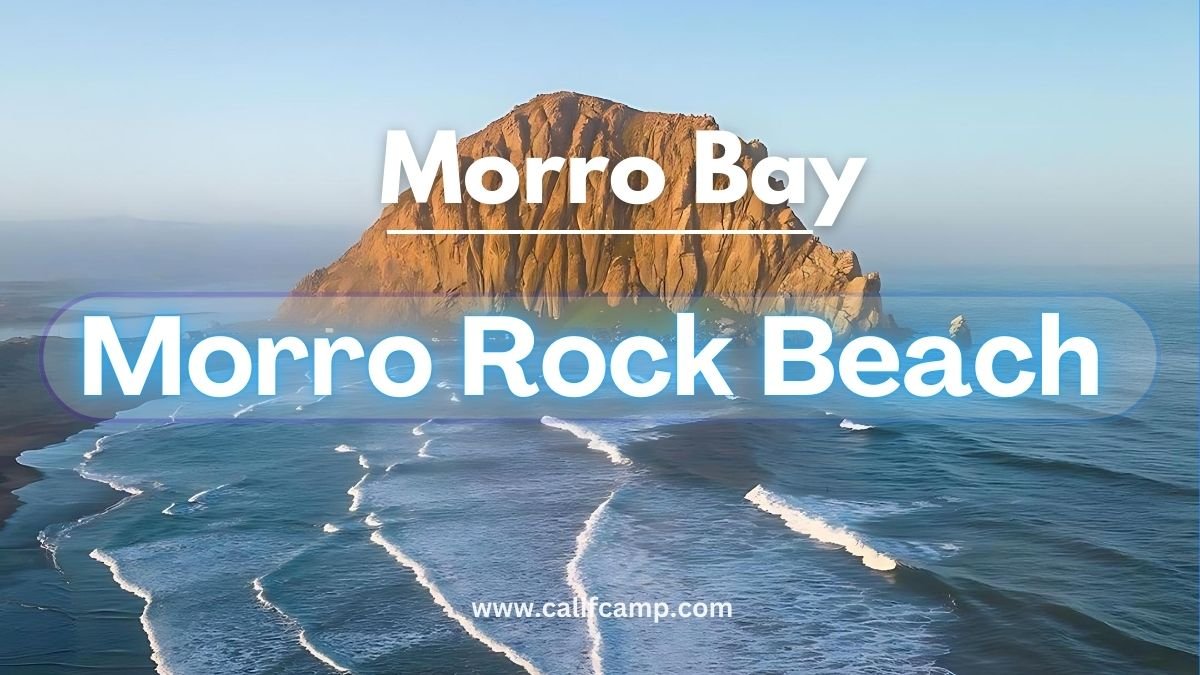 Morro Rock Beach in Morro Bay