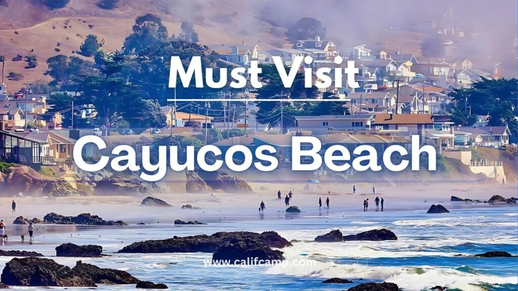 Cayucos State Beach in california