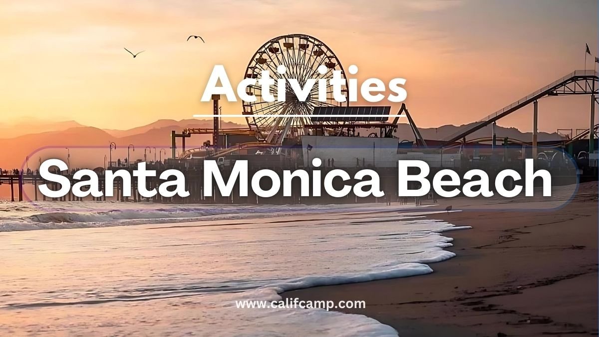 Explore Santa Monica State Beach in CA