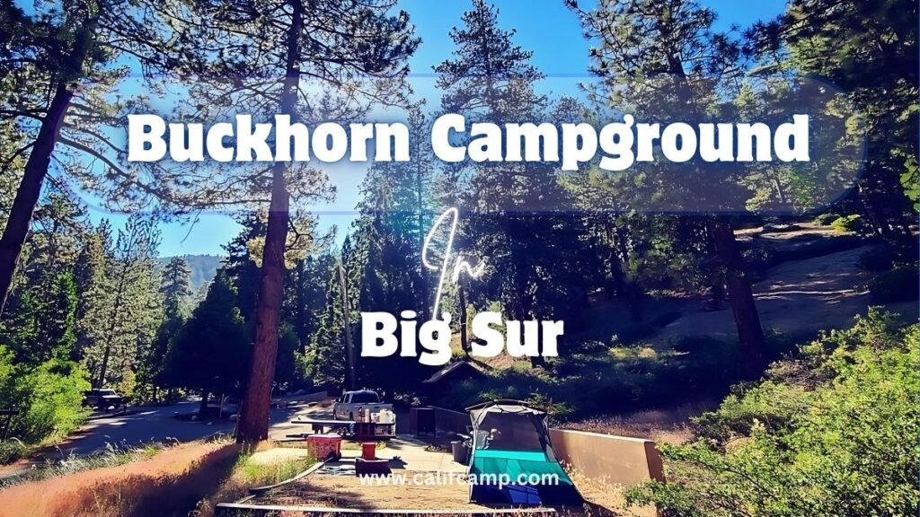 Buckhorn Campground in big sur