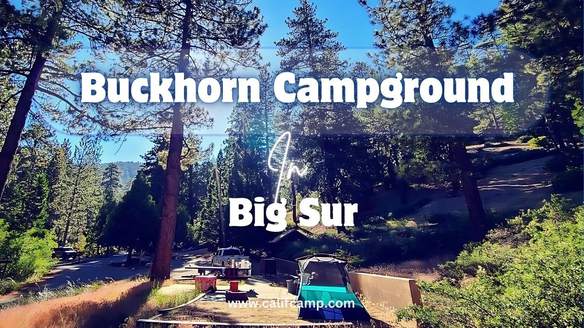 Buckhorn Campground in big sur