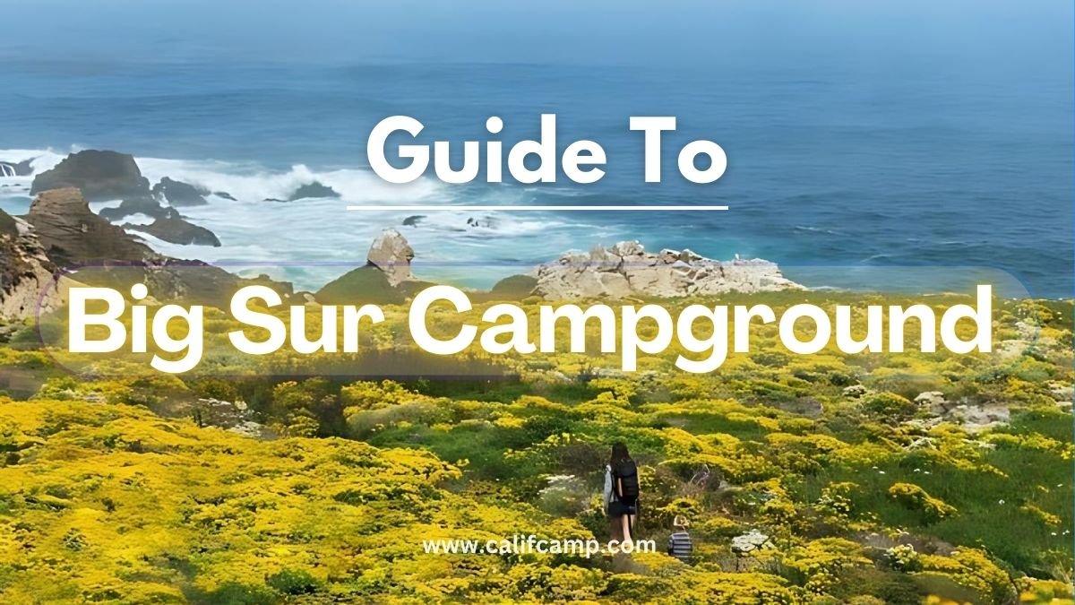 Top 5 Big Sur Campground in CA