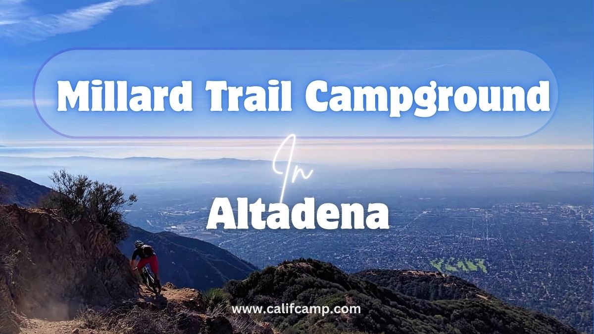 Millard Trail Campground in Altadena