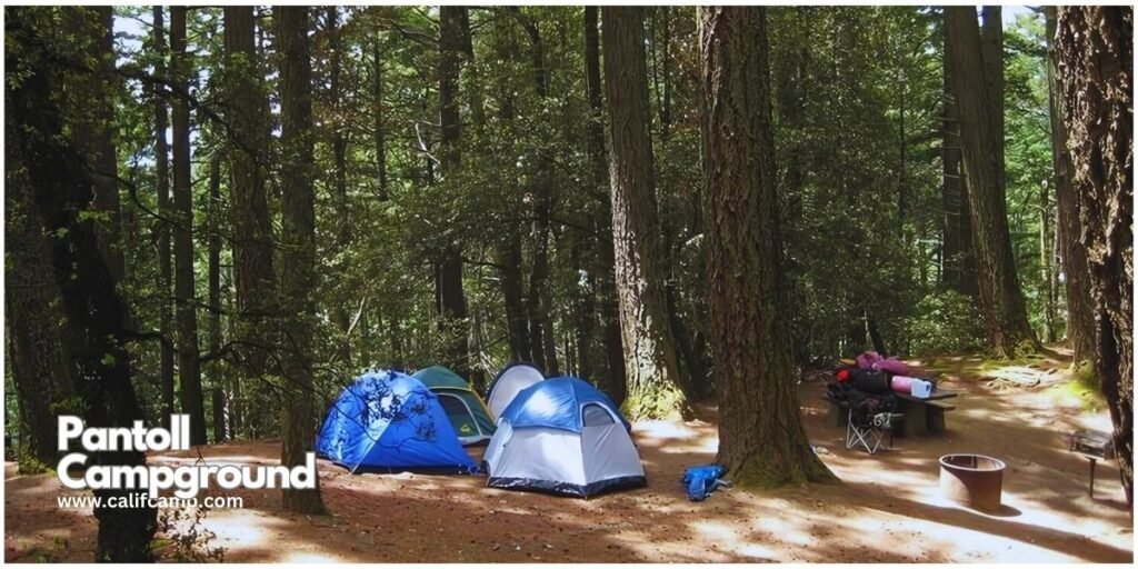 Pantoll Campground in California 