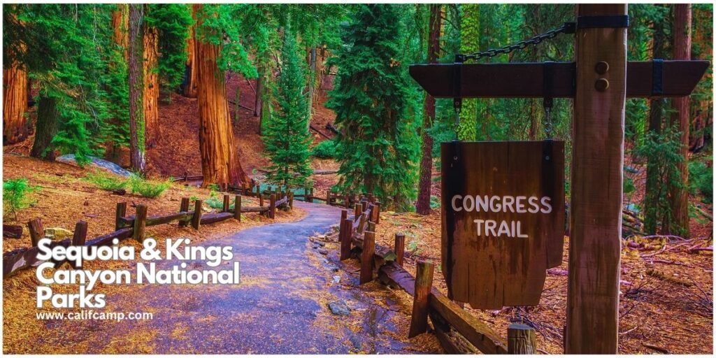 Sequoia and Kings Canyon National Parks