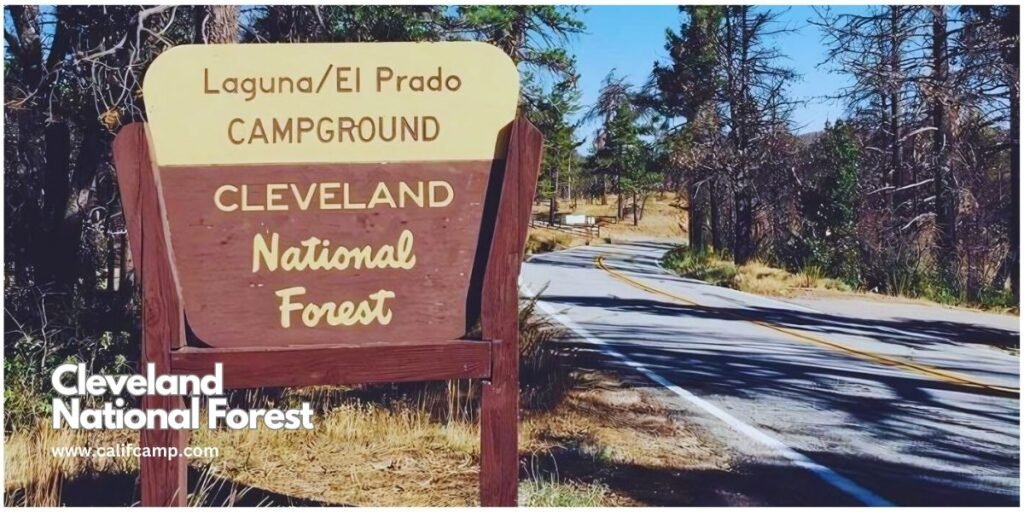 RV Camping in Cleveland National Forest