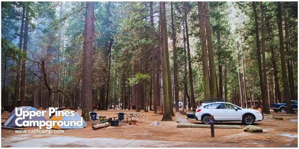 Upper Pines Campground campsites in Yosemite National park 