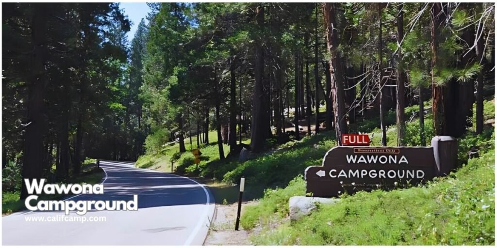 Wawona campsites in Yosemite national park 