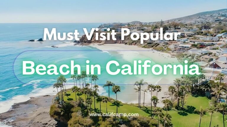 Must visit popular Beach in California