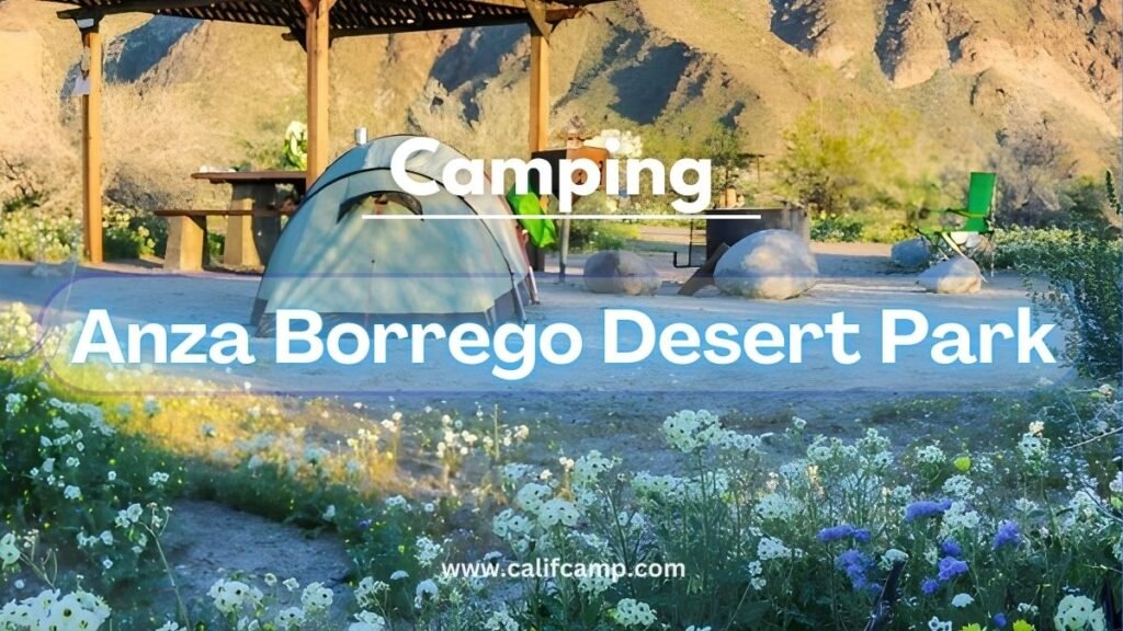 Anza-Borrego Desert State Park camping