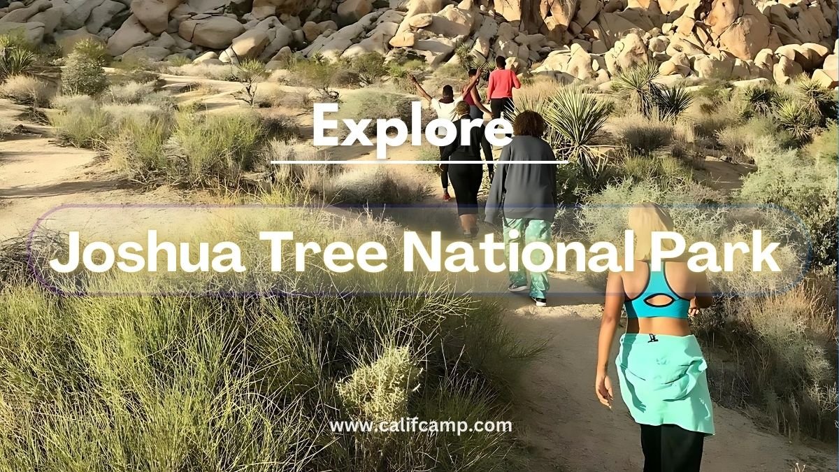 Joshua Tree Park Campground