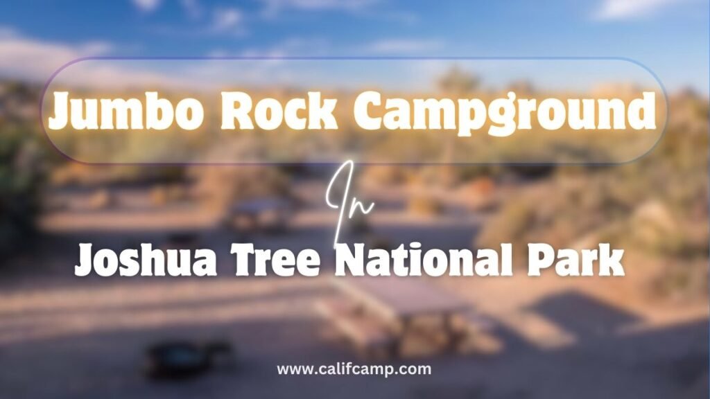 Jumbo Rock Campground