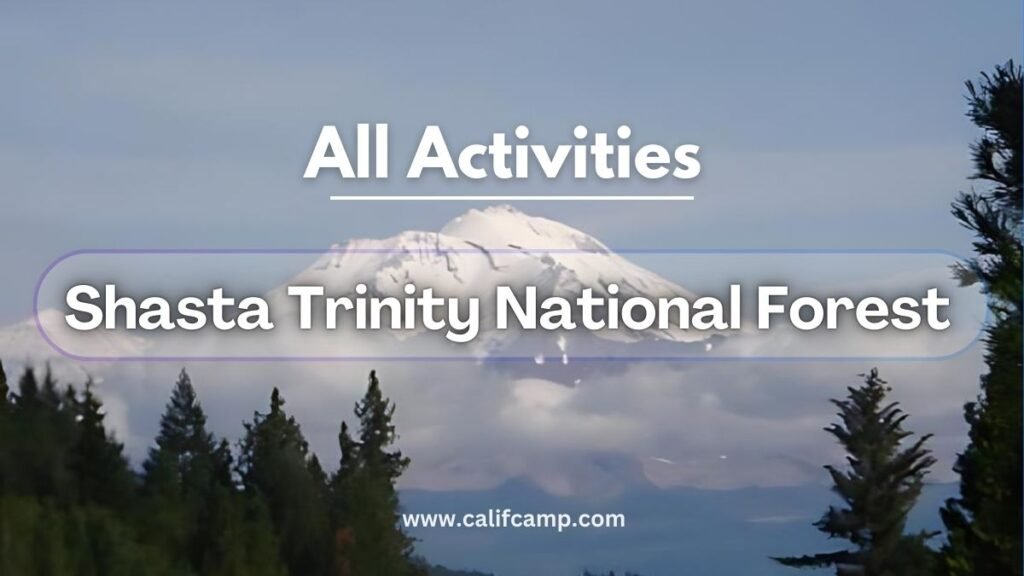 Shasta Trinity National Forest