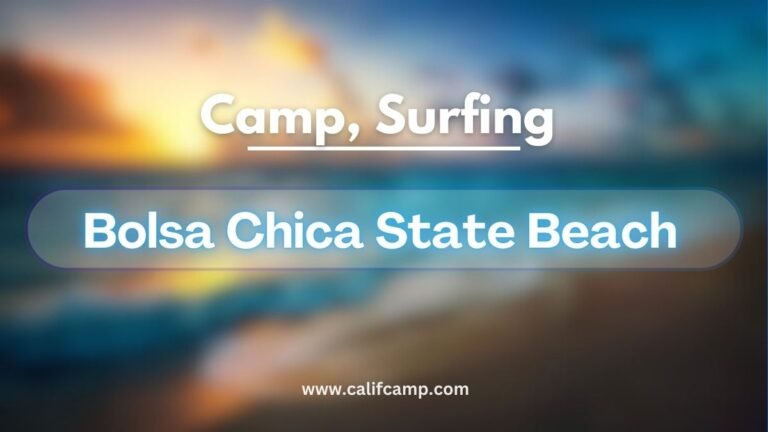 Bolsa Chica State Beach camping