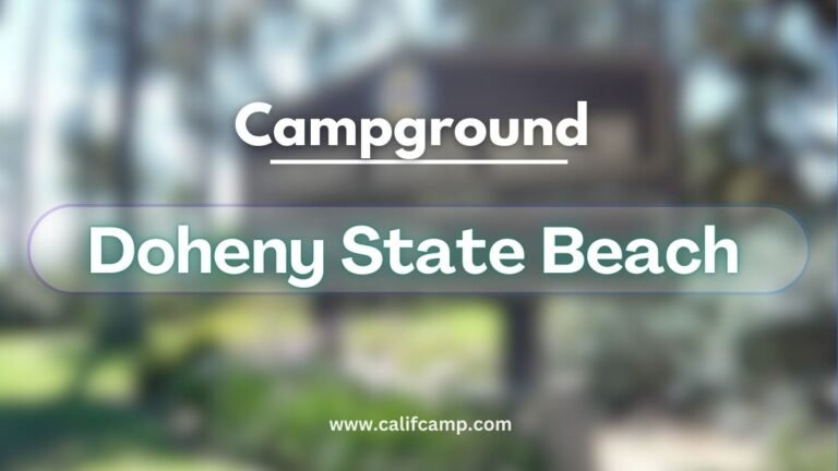 Doheny State Beach Campground