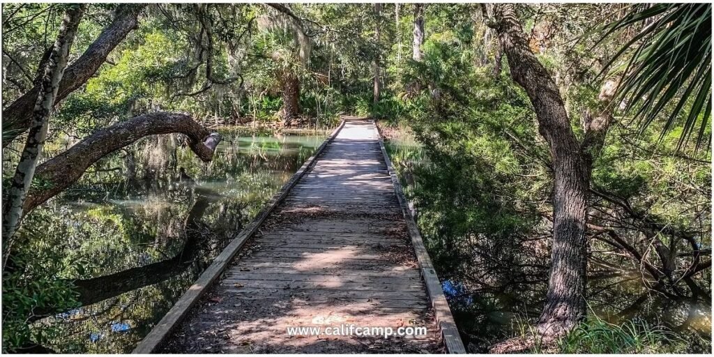 Edisto Beach State Park hiking