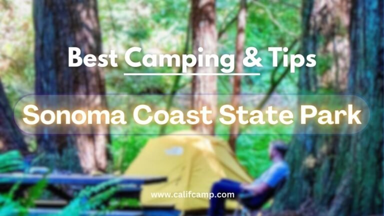 Sonoma Coast State Park Camping