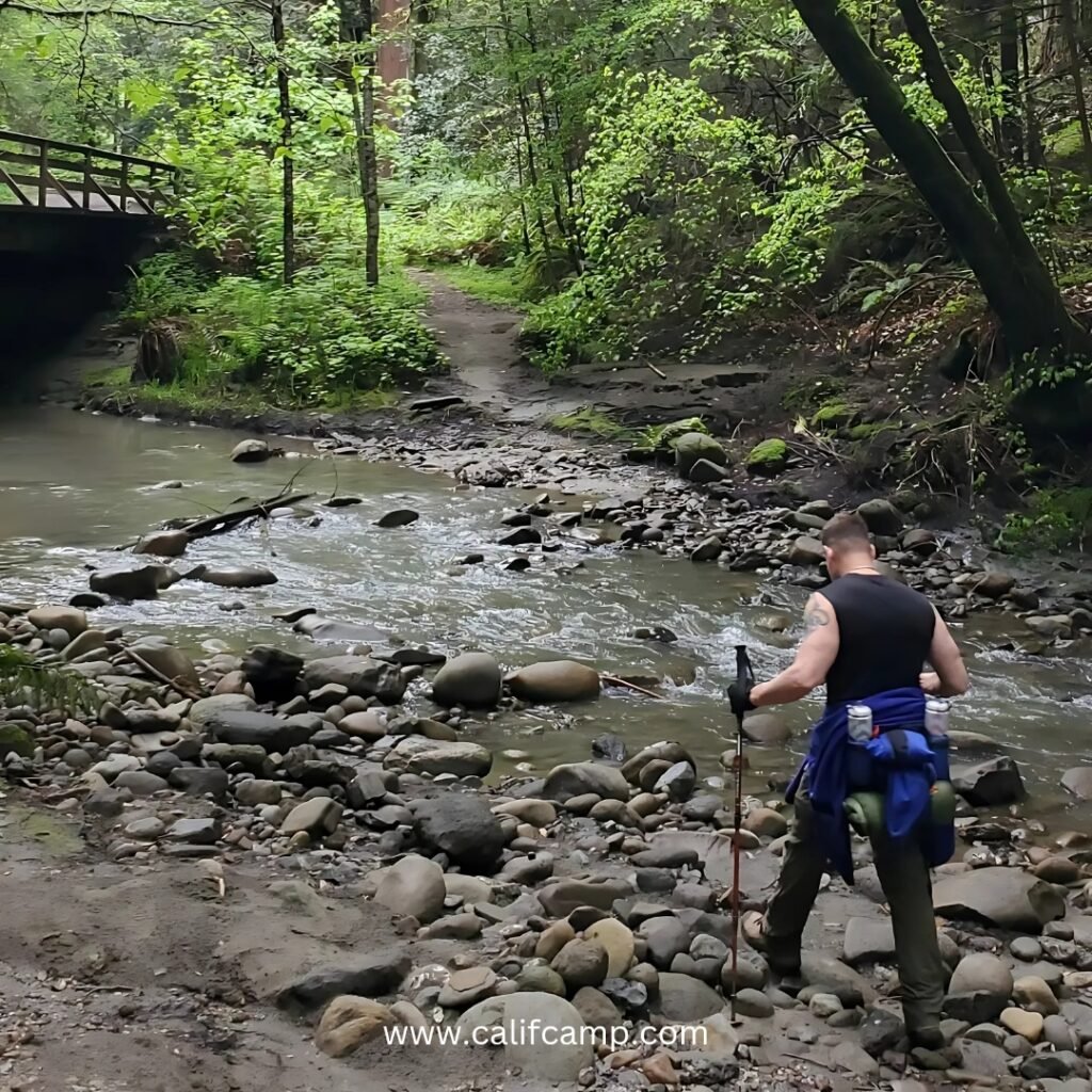 Hiking in The Forest of Nisene Marks State Park