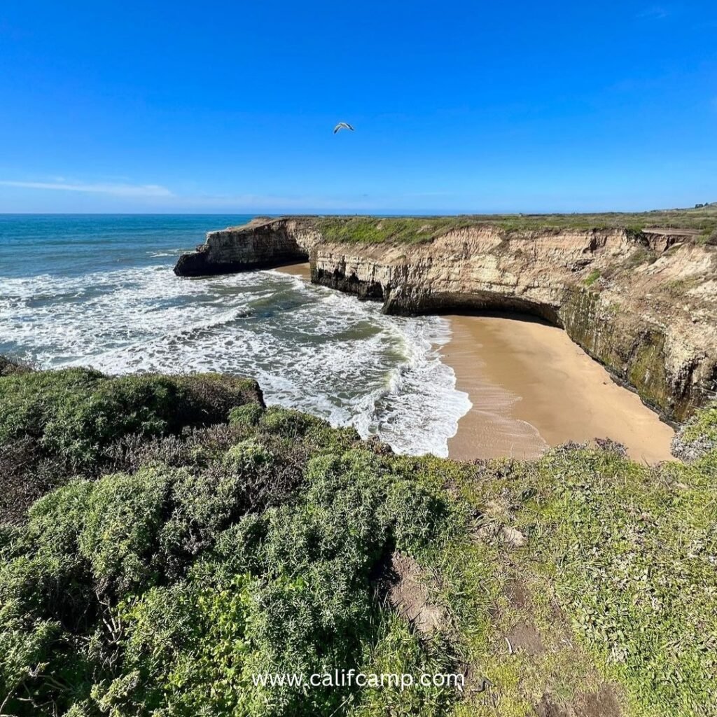 Santa Cruz Parks hiking