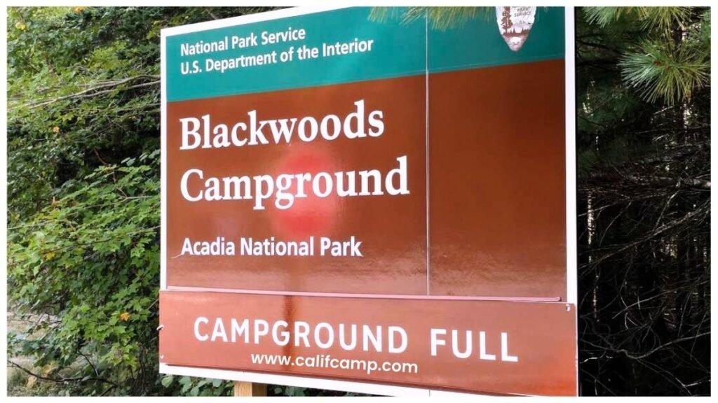 Blackwoods Campground in Acadia