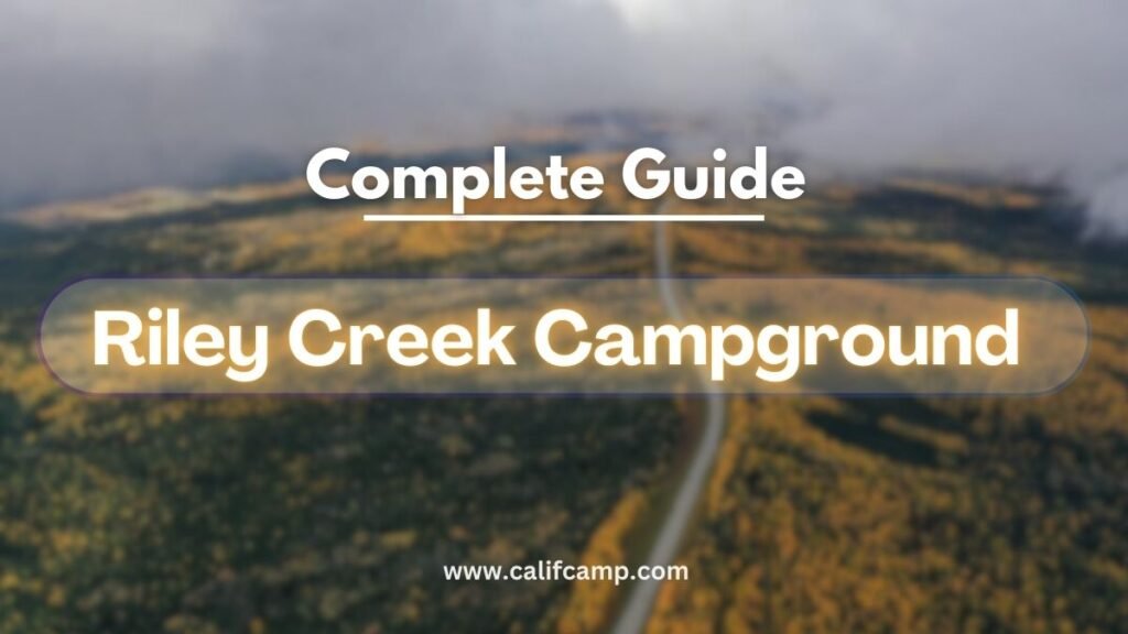 Riley Creek Campground