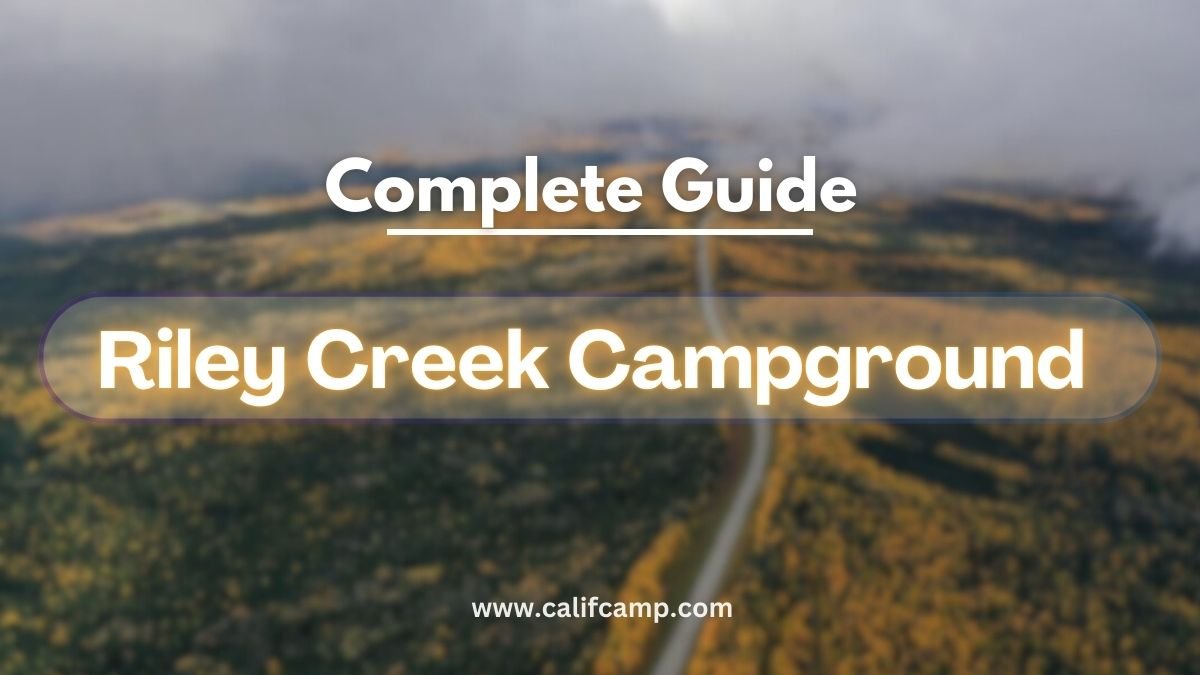 Riley Creek Campground