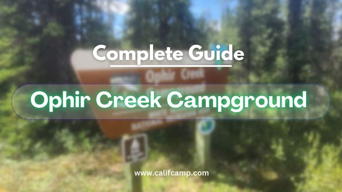 Ophir Creek Campground