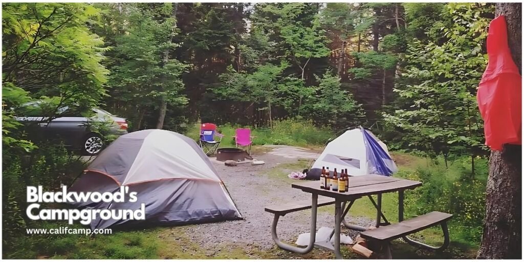 Blackwoods Campground in Acadia