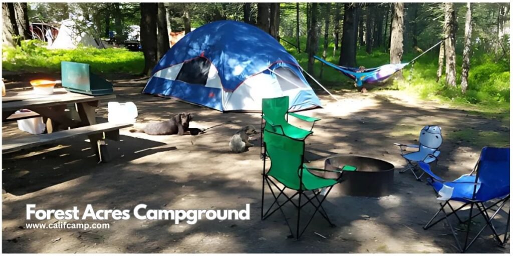 Forest Acres Campground Camping