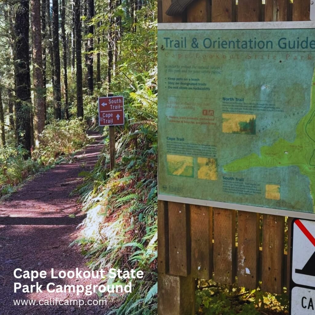 Cape Lookout State Park Campground